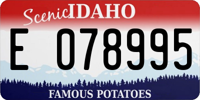 ID license plate E078995