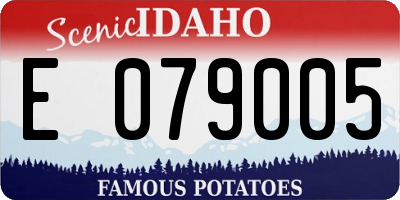 ID license plate E079005