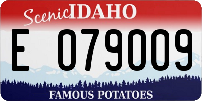 ID license plate E079009