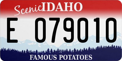 ID license plate E079010