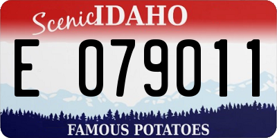 ID license plate E079011