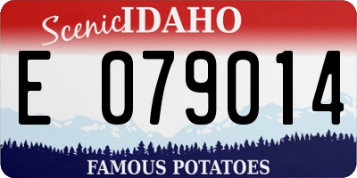 ID license plate E079014