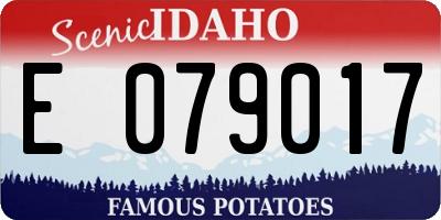 ID license plate E079017