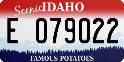 ID license plate E079022