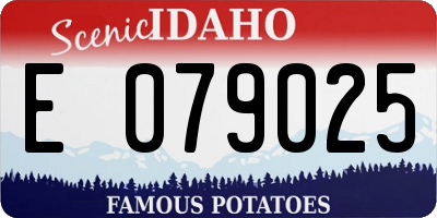 ID license plate E079025