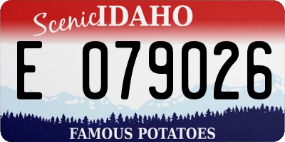 ID license plate E079026
