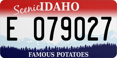 ID license plate E079027