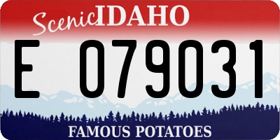 ID license plate E079031
