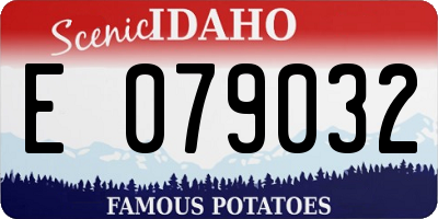 ID license plate E079032