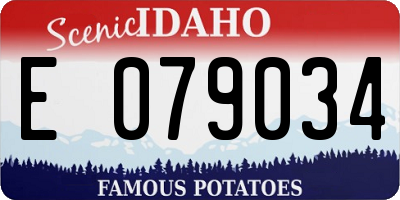 ID license plate E079034