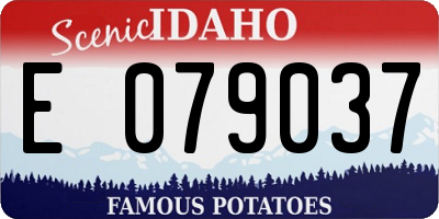 ID license plate E079037