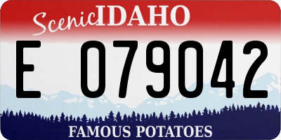 ID license plate E079042