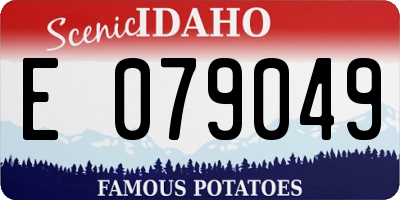 ID license plate E079049