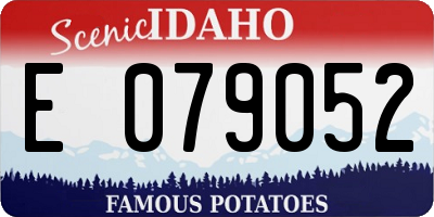 ID license plate E079052