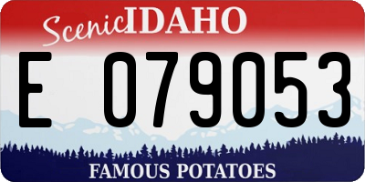 ID license plate E079053