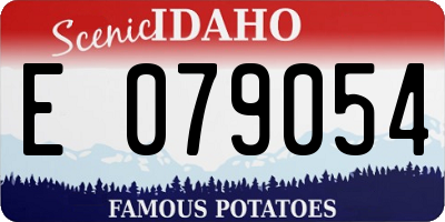 ID license plate E079054
