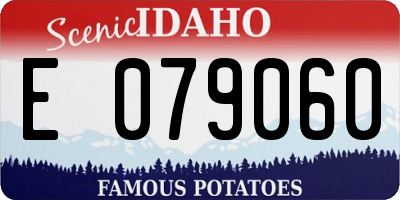 ID license plate E079060