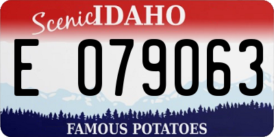 ID license plate E079063