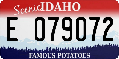 ID license plate E079072