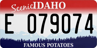 ID license plate E079074