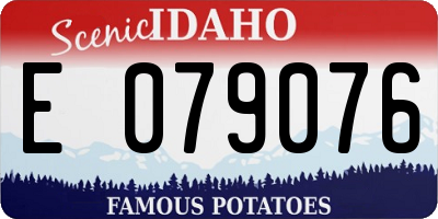 ID license plate E079076