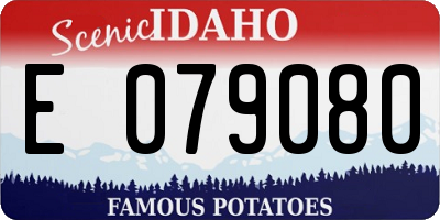 ID license plate E079080