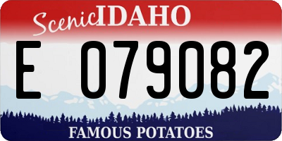 ID license plate E079082