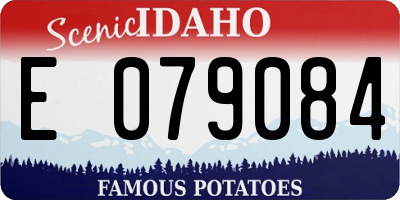 ID license plate E079084