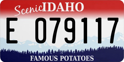 ID license plate E079117