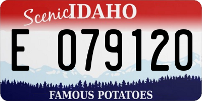 ID license plate E079120