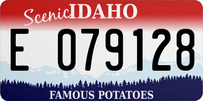 ID license plate E079128