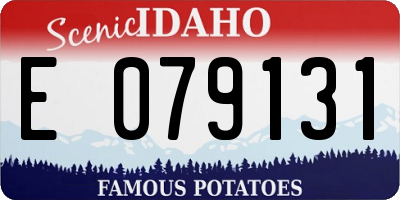 ID license plate E079131