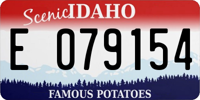 ID license plate E079154