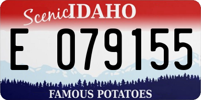 ID license plate E079155
