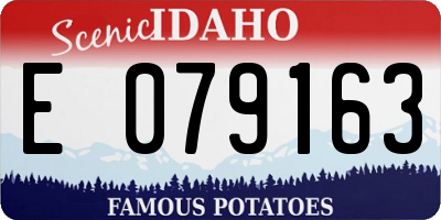 ID license plate E079163