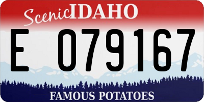ID license plate E079167