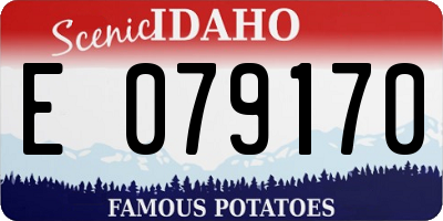 ID license plate E079170