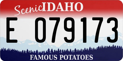 ID license plate E079173