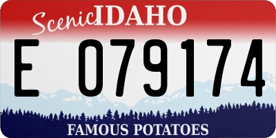 ID license plate E079174