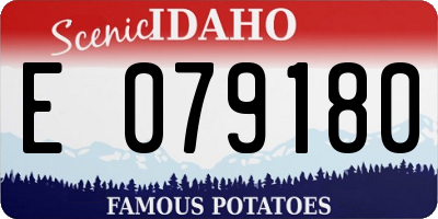 ID license plate E079180