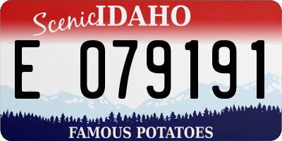 ID license plate E079191