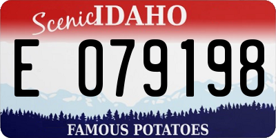 ID license plate E079198