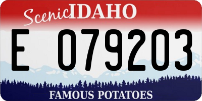 ID license plate E079203