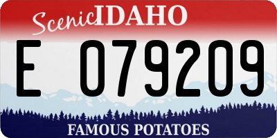 ID license plate E079209