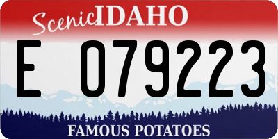 ID license plate E079223