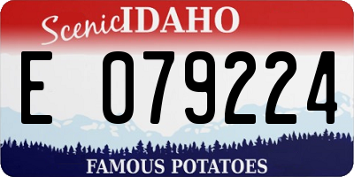 ID license plate E079224