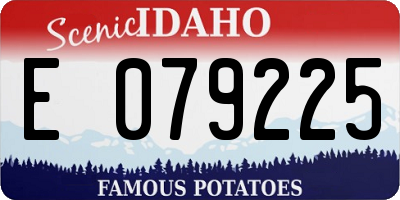 ID license plate E079225