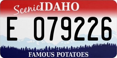 ID license plate E079226