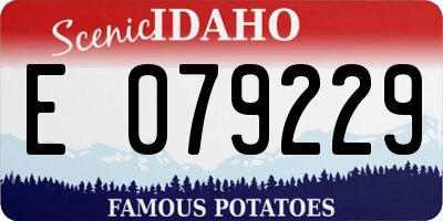 ID license plate E079229