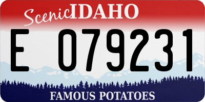 ID license plate E079231